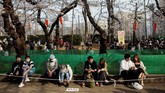 Warga Jepang dan turis biasanya menggelar tikar di bawah mekar sakura sambil menikmati makanan dan minuman. Aktivitas ini masih berlangsung, tapi tidak sepadat biasanya. (Photo by Behrouz MEHRI / AFP)