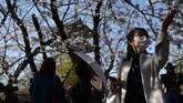 Pandemi corona juga menyebabkan merosotnya industri pariwisata Jepang. Bahkan, ditengarai efeknya kerugian ekonominya bisa melebihi tahun 2011 ketika Jepang diterpa badai tsunami, gempa, dan kebocoran reaktor nuklir. (Photo by CHARLY TRIBALLEAU / AFP)