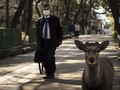 FOTO: Rusa Nara Berjalan Bebas di Tengah Pandemi Corona
