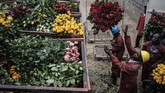 Negara-negara di Benua Afrika tak luput dari 'target' penyebaran pandemi virus corona. (Yasuyoshi CHIBA / AFP)