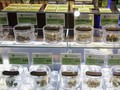 Cegah Corona, Beli Ganja di California Bisa Via Drive-Thru