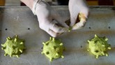 Setiap harinya, burger berbentuk virus ini terjual 50 buah. Warna hijau pada burger ini sendiri didapatkan dari teh hijau.(Manan VATSYAYANA / AFP)