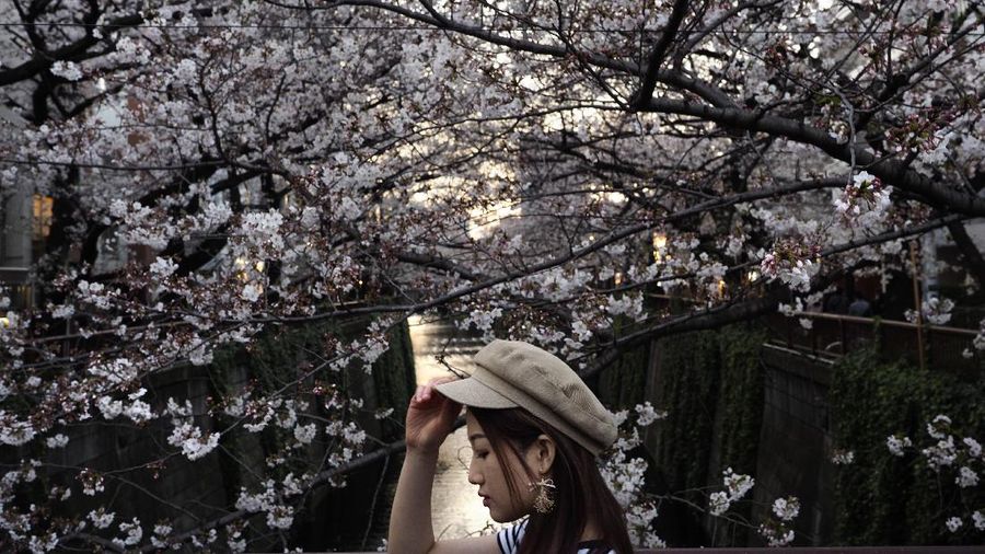 Di tengah-tengah upaya mengurangi kerumunan massa, bunga sakura bermekaran dan mengundang warga Jepang untuk pergi menikmatinya.