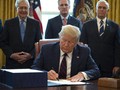 Trump Setuju Obat Uji Coba Diberikan Pada Pasien Corona