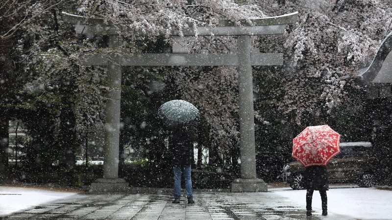 Ppemerintah Tokyo menutup taman-taman sakura supaya untuk meminimalisir penyebaran virus tersebut.