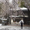 Jepang Izinkan Turis Asing Masuk, Tapi Cuma dari 4 Negara Ini