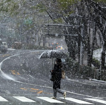 Tekan Kasus Corona, Jepang Tutup Taman Sakura