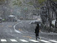 Tekan Kasus Corona, Jepang Tutup Taman Sakura