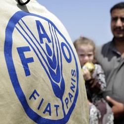Jokowi Terima Agricola Medal, Penghargaan Tertinggi dari FAO