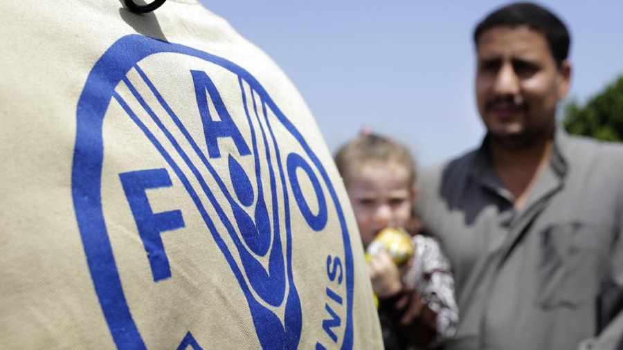 In this Monday, April 11, 2016 photo, An Egyptian farmer carries his daughter, as a man, left, working for the Food and Agriculture Organization of the United Nations (FAO) makes his way, on a land in Kafr Hamouda village, in Zagazig, 63 miles (100 kilometers) northeast of Cairo, Egypt. Farmers begin to use a small, relatively cheap plow allowing them to nearly double the yields of their wheat. The FAO, which is helping to distribute the plows, hopes the government will encourage the creation of small- and medium-sized businesses to build more. (AP Photo/Amr Nabil)