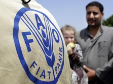 Bos FAO Buka-bukaan Soal Krisis Pangan, Semengerikan Apa?