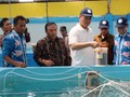 Genjot Ekspor, KKP Jadikan Meranti Pusat Budidaya Kakap Putih