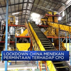 Harga CPO & Emas Kompak Menguat
