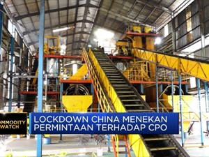 Harga CPO & Emas Kompak Menguat