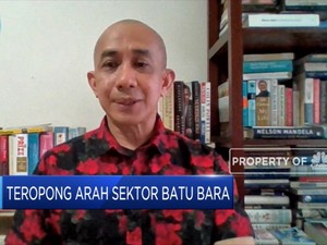 Harga Batu Bara Melonjak di Tengah Pandemi, Ini Tangapan APBI