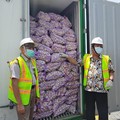 Ribuan Ton Bawang Putih Impor China Sudah Masuk RI