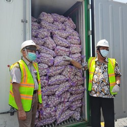 Harga Bawang Putih Memang Mulai Turun, Tapi...