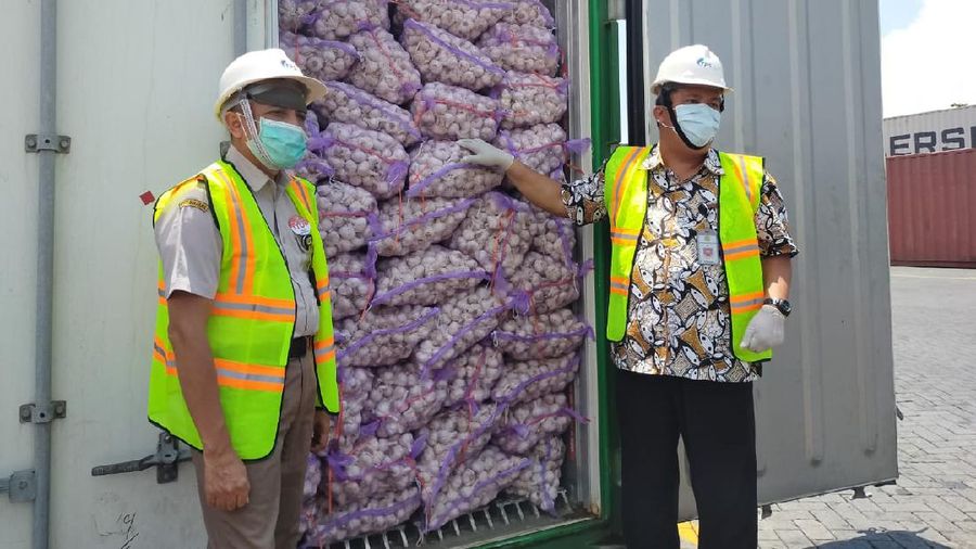 Stok Bawang Putih. (Dok: Kementan)
