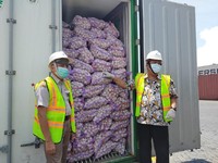 Terus-Terusan Impor, Harga Bawang Putih Turun Juga, Tapi...