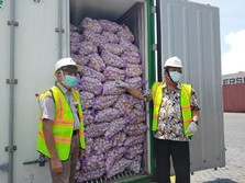 Harga Bawang Putih Memang Mulai Turun, Tapi...