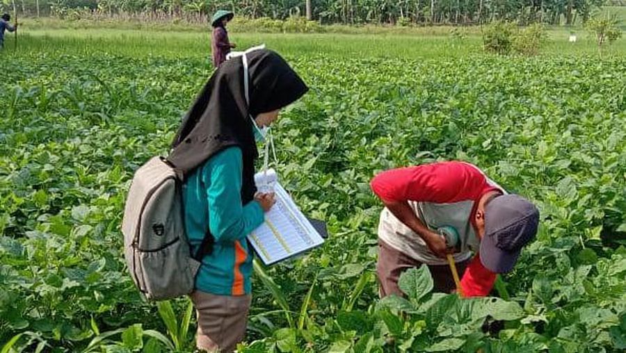 Kementan