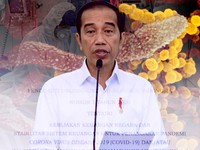 DPR: Perppu Pelebaran Defisit di Atas 3% Bisa Langsung Jalan