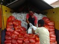 Pemerintah Segera Tebar 200 Ribu Paket Sembako di Jabodetabek