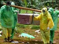 Personel Polda Sumut Meninggal, Istri Positif Corona
