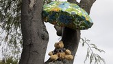 Sebagian orang menempatkan boneka di jendela rumah seakan hendak menyapa tetangga. Lainnya meletakkan boneka di balkon rumah atau dahan pohon yang seakan menunjukkan aktivitas harian mereka. (AP Photo/Mark Baker)