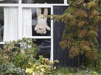 Lockdown Selandia Baru, Warga Pajang Boneka Beruang di Rumah
