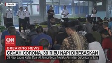 VIDEO: Cegah Corona, 30 Ribu Napi Dibebaskan