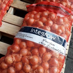 10 Kontainer Bawang Bombay Impor Sudah Masuk RI