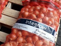 10 Kontainer Bawang Bombay Impor Sudah Masuk RI