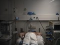 WHO: Pasien Sembuh Belum Tentu Kebal dari Covid-19