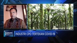 GAPKI: Produksi Sawit Masih Berjalan Normal di Tengah Pandemi