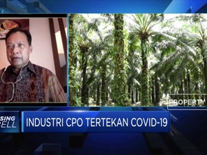 GAPKI: Produksi Sawit Masih Berjalan Normal di Tengah Pandemi