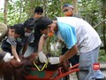 VIDEO: Cegah Infeksi Corona di Pusat Rehibilitasi Orang Utan