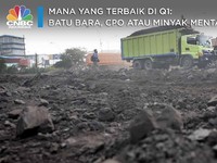 Mana yang Terbaik di Q1: Batu Bara, CPO atau Minyak Mentah?
