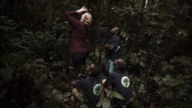 FOTO: Menyelamatkan Trenggiling di Afrika