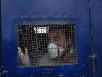 New Normal Buat Corona Ganas, WHO: Pakistan Lockdown Lagi