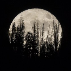 Fenomena Supermoon Juli 2022: Jadwal, Cara Lihat dan Efeknya