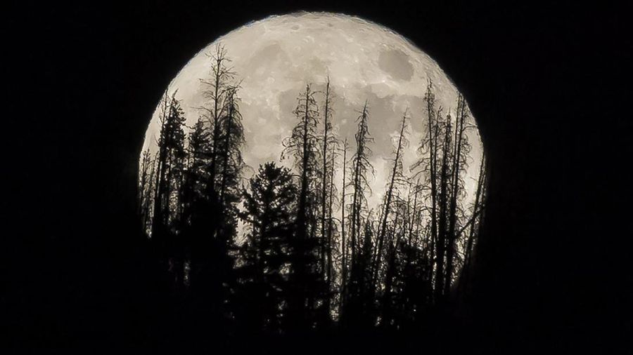 Supermoon. (AP/Jack Dempsey)