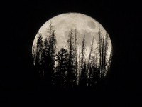 Fenomena Supermoon Juli 2022: Jadwal, Cara Lihat dan Efeknya