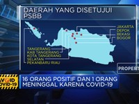 Menkes Setujui PSBB di Pekanbaru