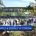 Apple & Google Bersatu Buat Aplikasi Pelacak Corona