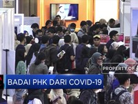 2,8 Juta Pekerja di PHK dan Dirumahkan Akibat Covid-19
