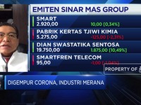 Ini Strategi Sinar Mas Hindari PHK Akibat Covid-19