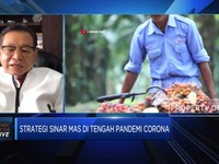 Sinar Mas: Bisnis Sawit Mampu Bertahan Hadapi Tekanan Corona