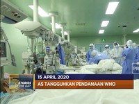 AS Tangguhkan Pendanaan WHO hingga Menhub Budi Karya Sembuh d