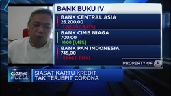AKKI: Pelonggoran Aturan Kartu Kredit Bisa Jaga Tingkat NPL
